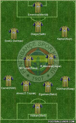 Fenerbahçe SK Formation 2014
