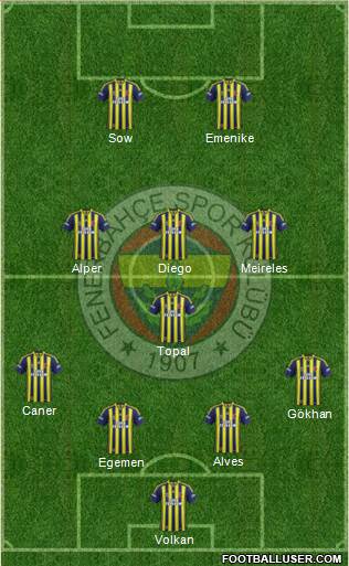 Fenerbahçe SK Formation 2014