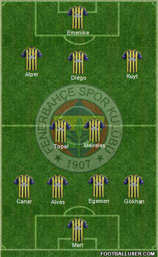 Fenerbahçe SK Formation 2014
