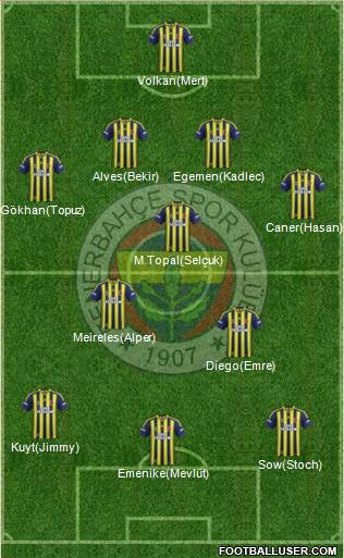 Fenerbahçe SK Formation 2014