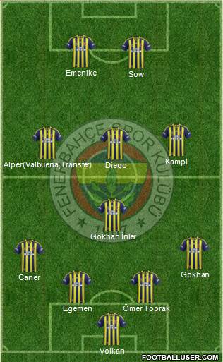Fenerbahçe SK Formation 2014