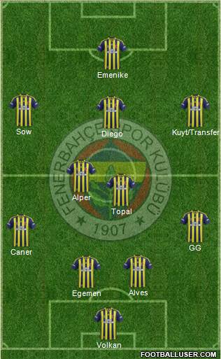 Fenerbahçe SK Formation 2014