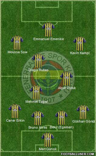 Fenerbahçe SK Formation 2014