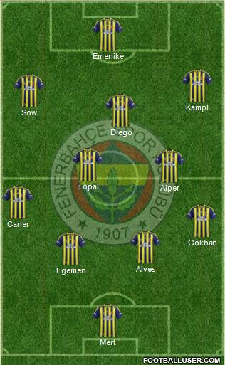 Fenerbahçe SK Formation 2014