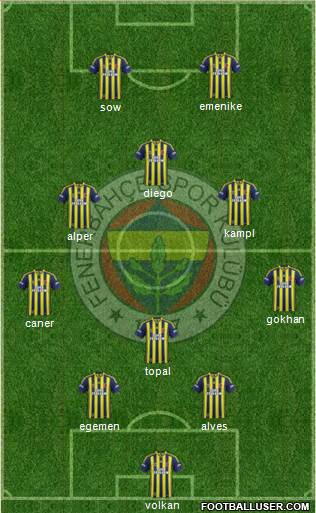 Fenerbahçe SK Formation 2014