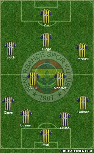 Fenerbahçe SK Formation 2014