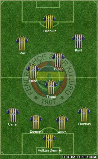 Fenerbahçe SK Formation 2014