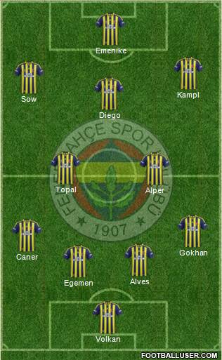 Fenerbahçe SK Formation 2014