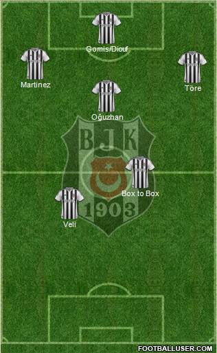 Besiktas JK Formation 2014