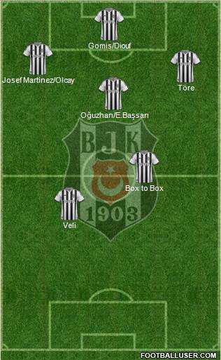 Besiktas JK Formation 2014