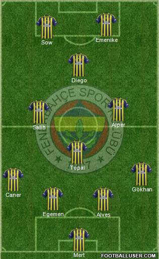 Fenerbahçe SK Formation 2014