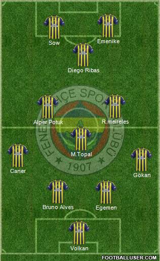 Fenerbahçe SK Formation 2014