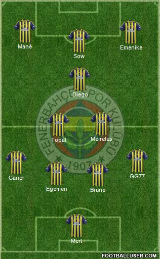 Fenerbahçe SK Formation 2014