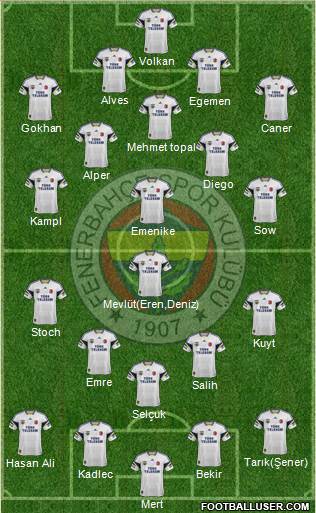 Fenerbahçe SK Formation 2014