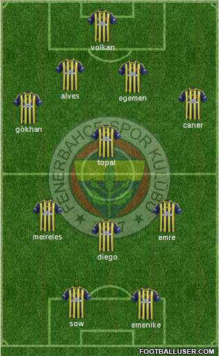 Fenerbahçe SK Formation 2014