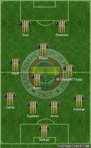 Fenerbahçe SK Formation 2014