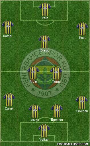 Fenerbahçe SK Formation 2014
