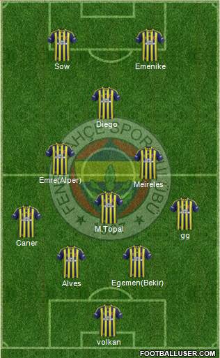 Fenerbahçe SK Formation 2014
