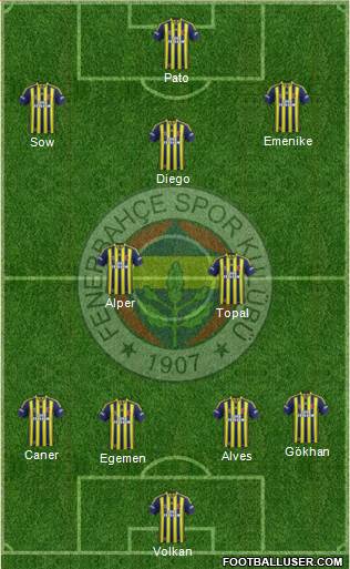 Fenerbahçe SK Formation 2014