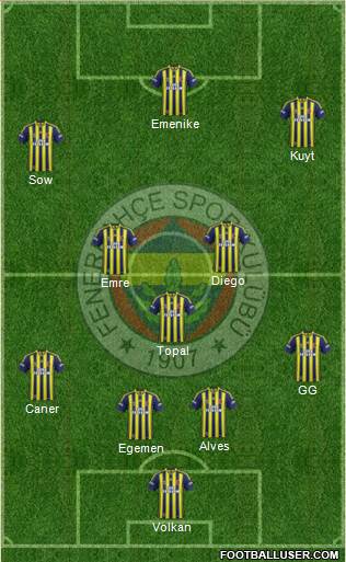 Fenerbahçe SK Formation 2014