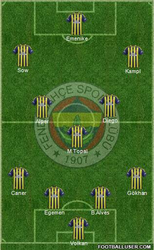 Fenerbahçe SK Formation 2014