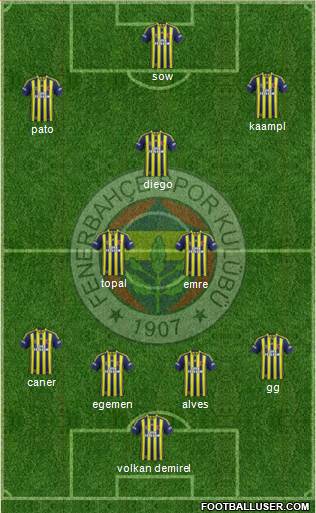 Fenerbahçe SK Formation 2014