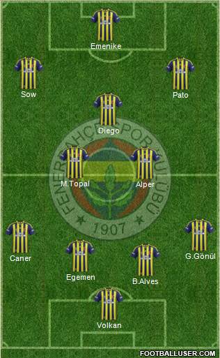 Fenerbahçe SK Formation 2014