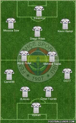 Fenerbahçe SK Formation 2014