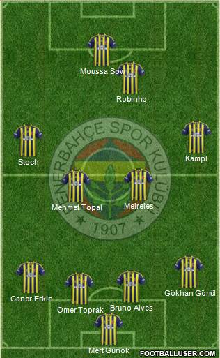 Fenerbahçe SK Formation 2014