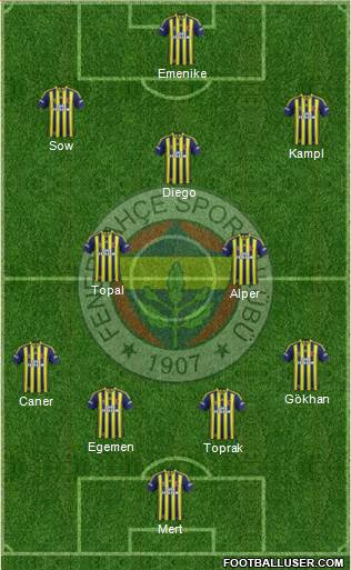 Fenerbahçe SK Formation 2014