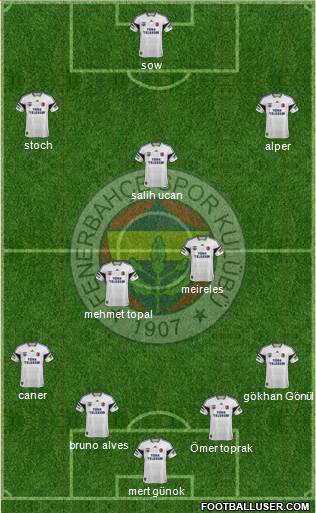 Fenerbahçe SK Formation 2014