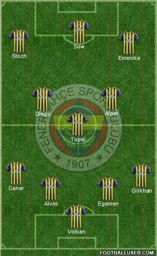 Fenerbahçe SK Formation 2014