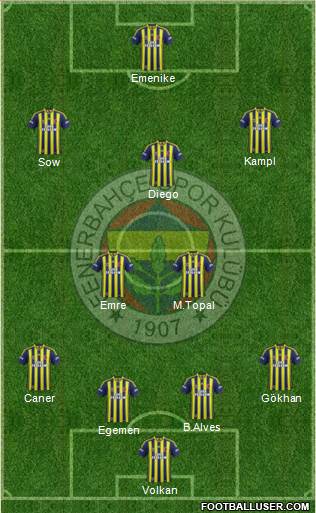 Fenerbahçe SK Formation 2014