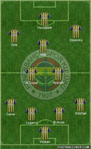 Fenerbahçe SK Formation 2014