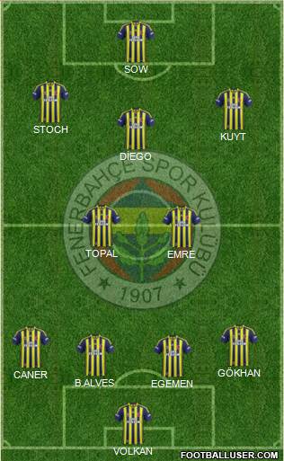 Fenerbahçe SK Formation 2014