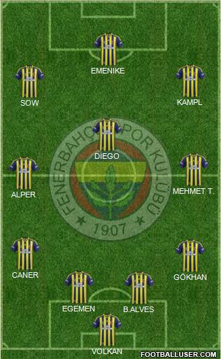 Fenerbahçe SK Formation 2014