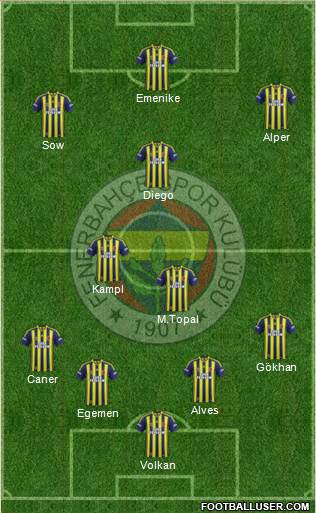 Fenerbahçe SK Formation 2014