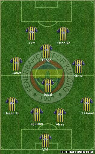 Fenerbahçe SK Formation 2014