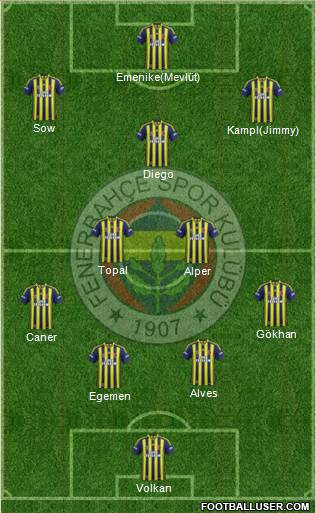 Fenerbahçe SK Formation 2014