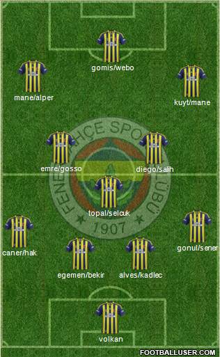 Fenerbahçe SK Formation 2014