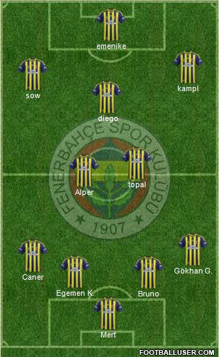 Fenerbahçe SK Formation 2014