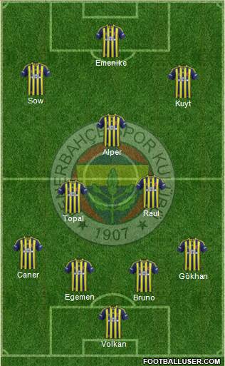 Fenerbahçe SK Formation 2014