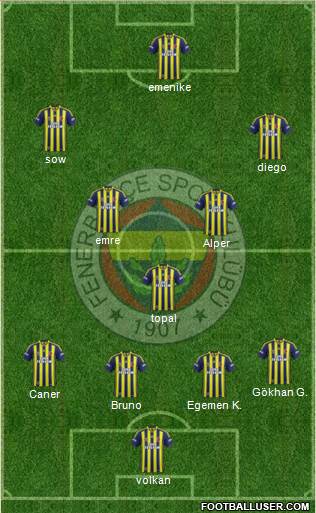 Fenerbahçe SK Formation 2014