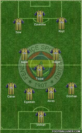 Fenerbahçe SK Formation 2014