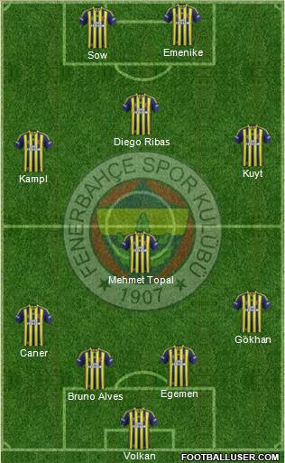Fenerbahçe SK Formation 2014