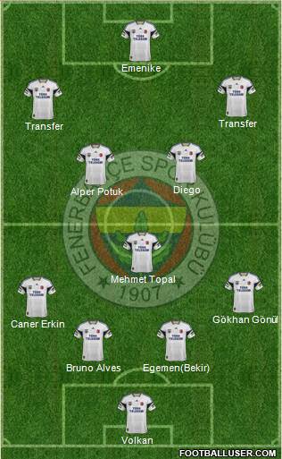 Fenerbahçe SK Formation 2014