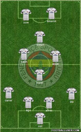 Fenerbahçe SK Formation 2014