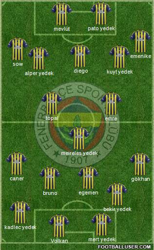 Fenerbahçe SK Formation 2014