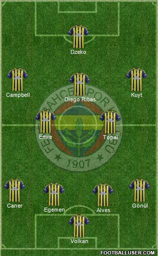 Fenerbahçe SK Formation 2014