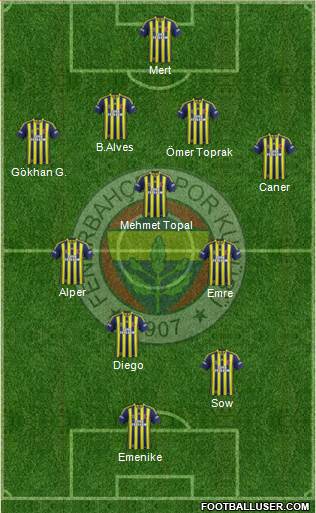 Fenerbahçe SK Formation 2014